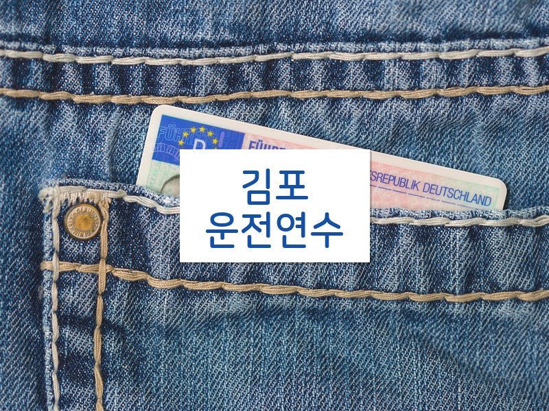김포운전연수 후기