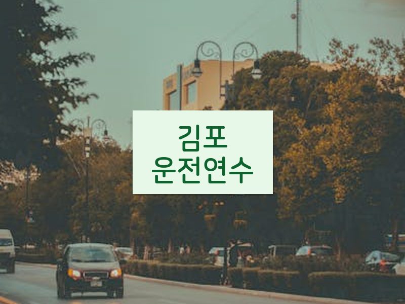 김포운전연수 후기
