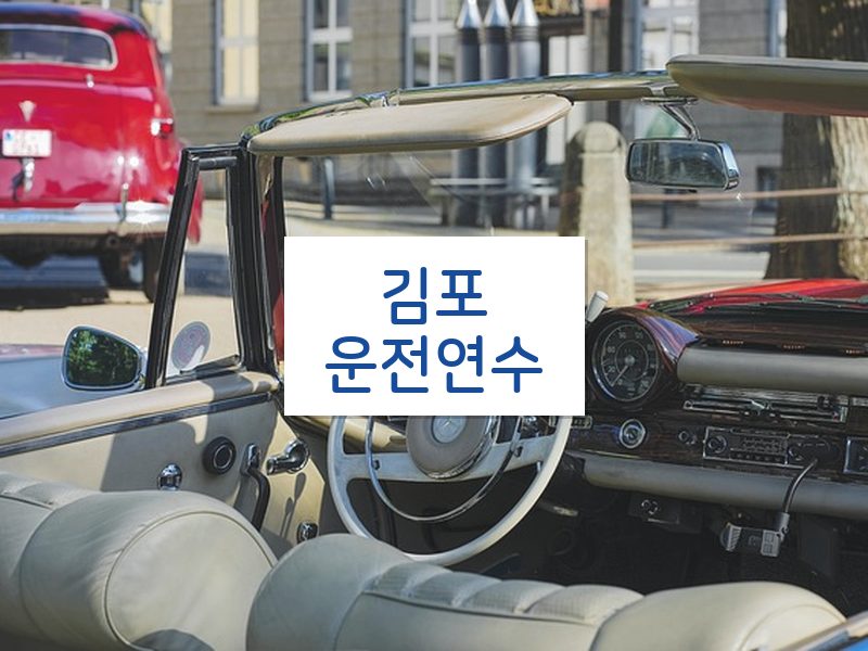 김포운전연수 후기