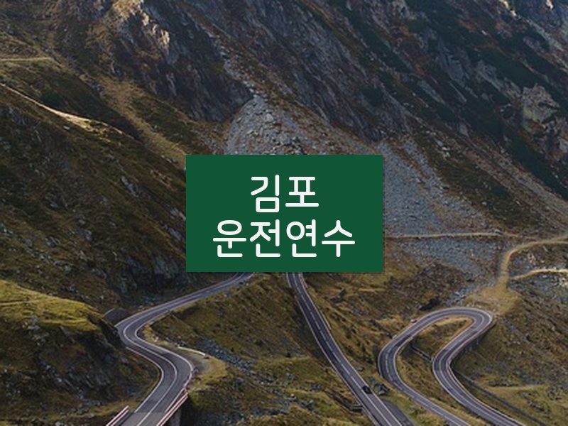 김포운전연수 후기