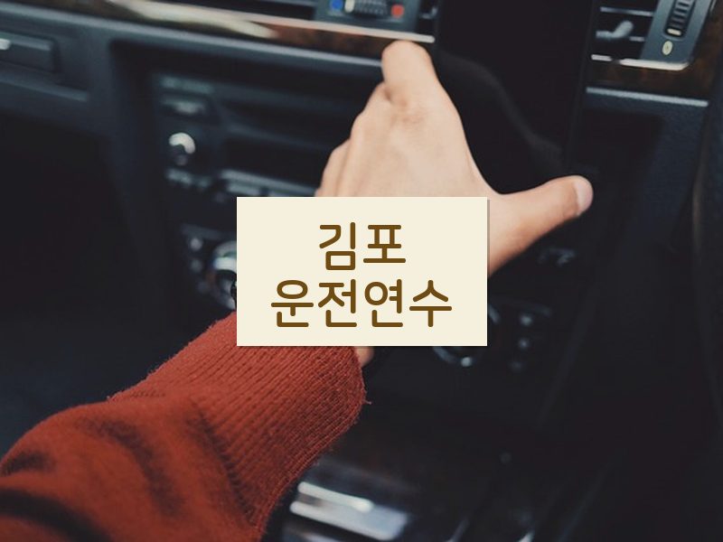 김포운전연수 후기