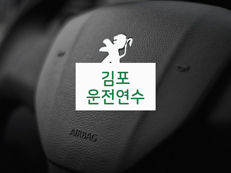 김포운전연수 후기