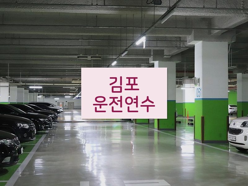 김포운전연수 후기