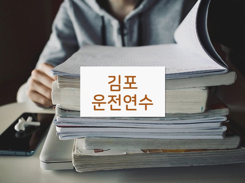 김포운전연수 후기