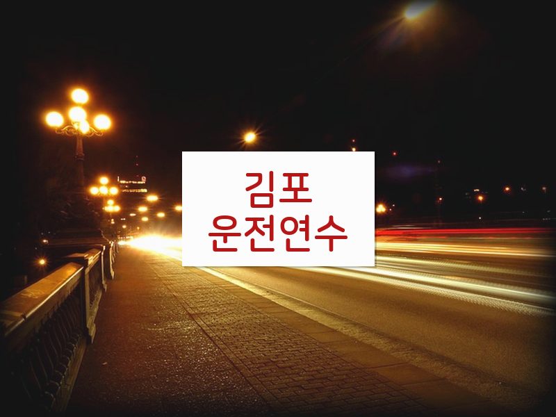 김포운전연수 후기