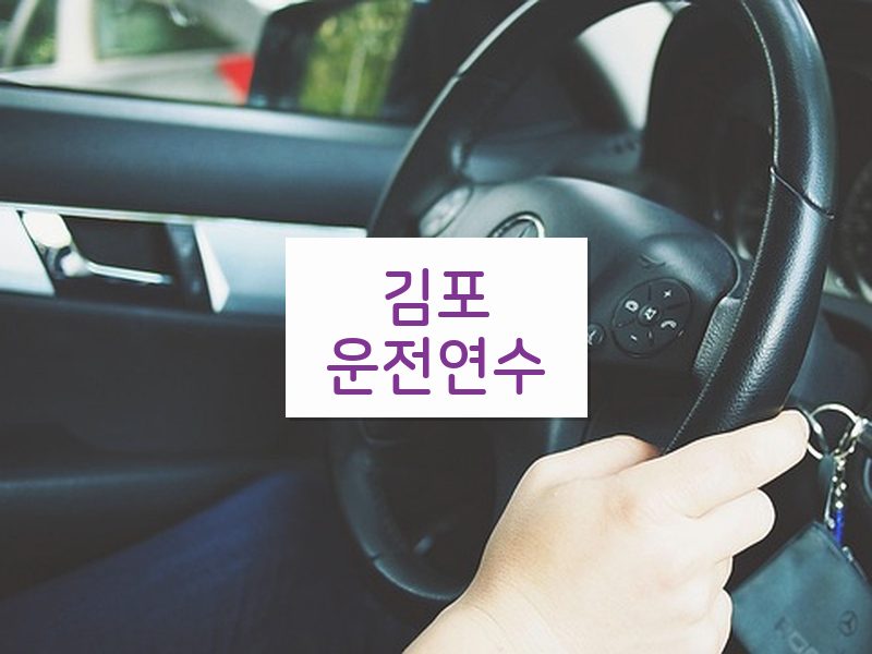 김포운전연수 후기