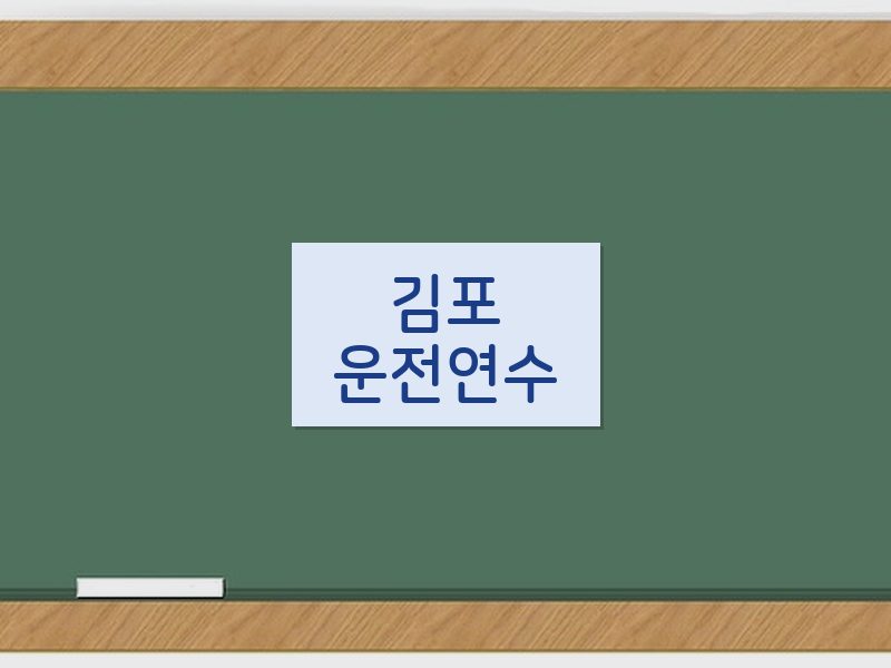 김포운전연수 후기