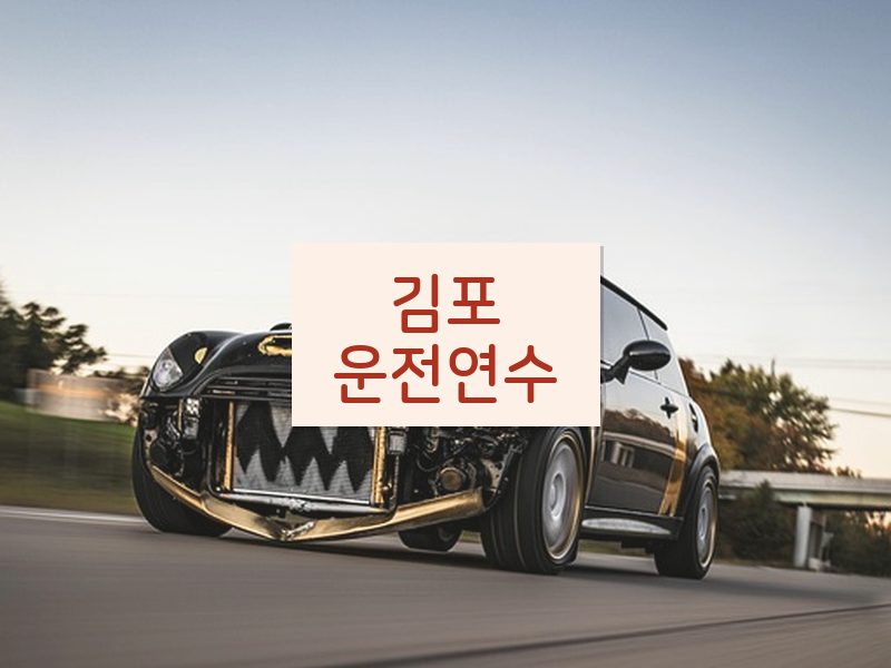김포운전연수 후기