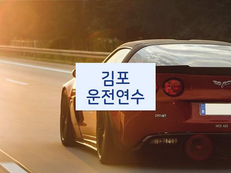 김포운전연수 후기