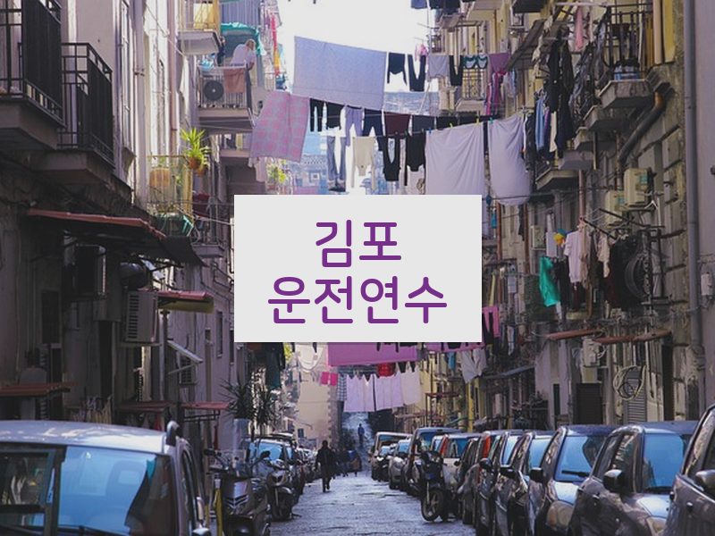 김포운전연수 후기