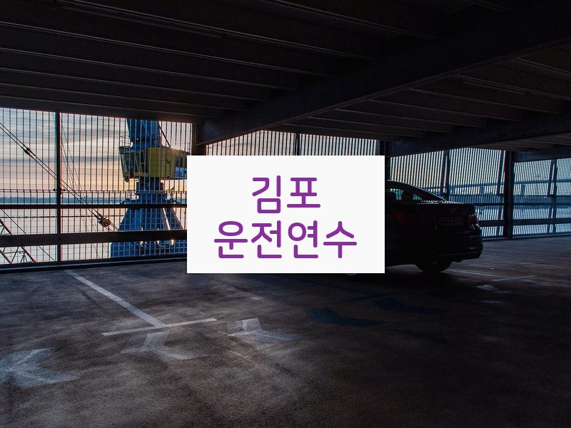 김포운전연수 후기