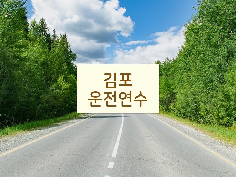 김포운전연수 후기