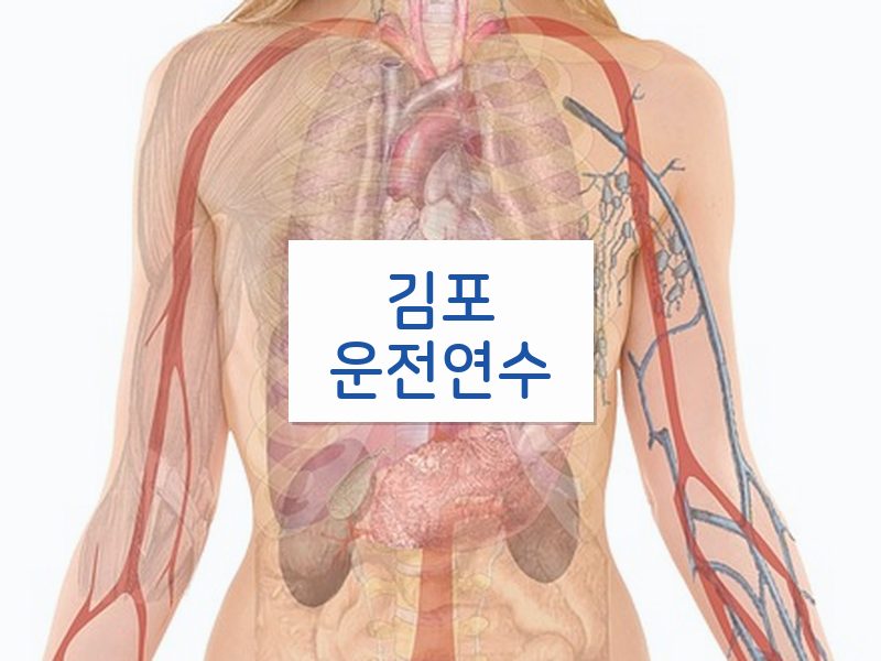 김포운전연수 후기