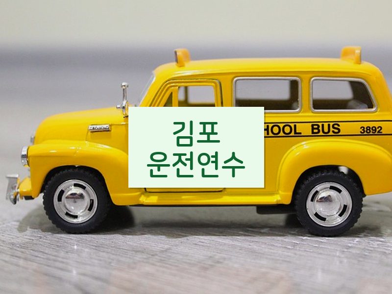 김포운전연수 후기