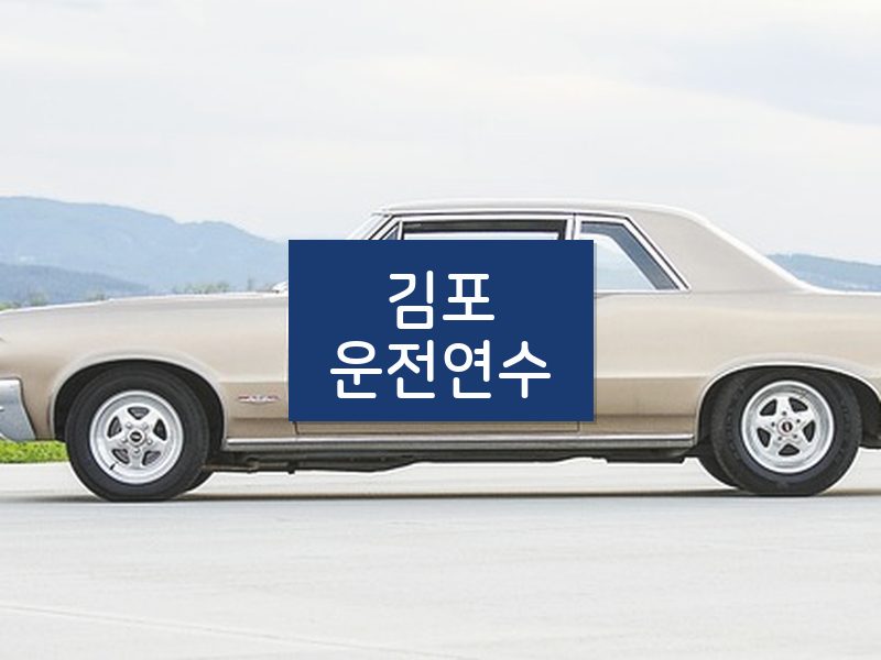 김포운전연수 후기