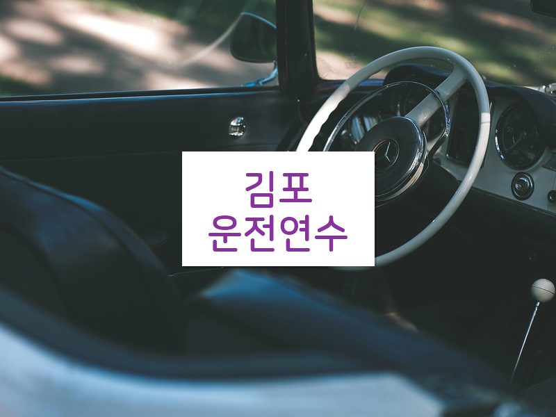 김포운전연수 후기