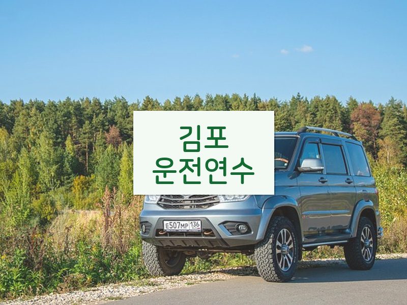 김포운전연수 후기