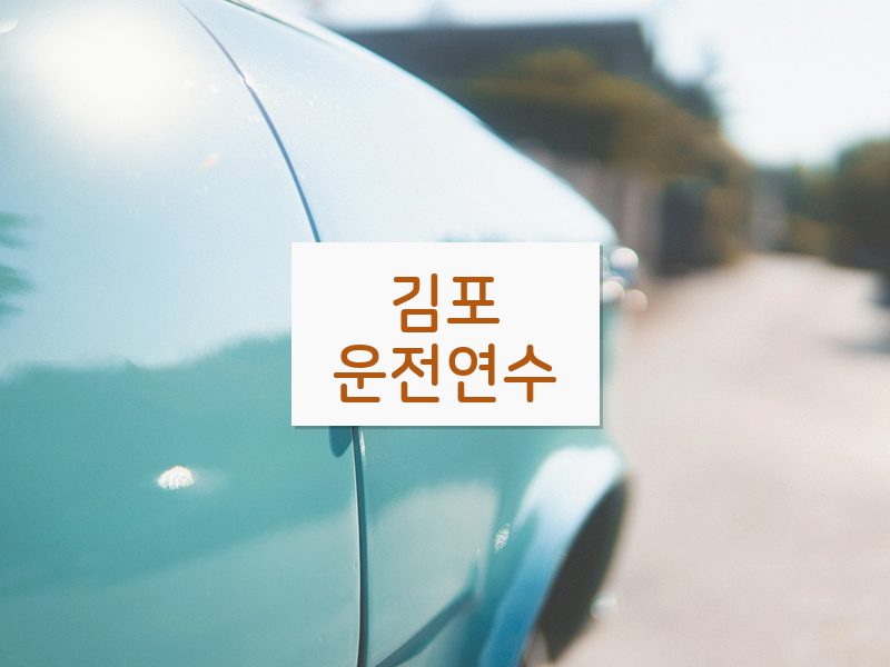 김포운전연수 후기