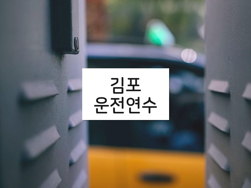 김포운전연수 후기