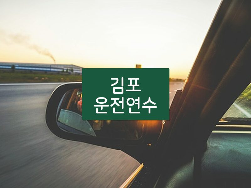 김포운전연수 후기