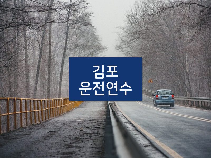 김포운전연수 후기