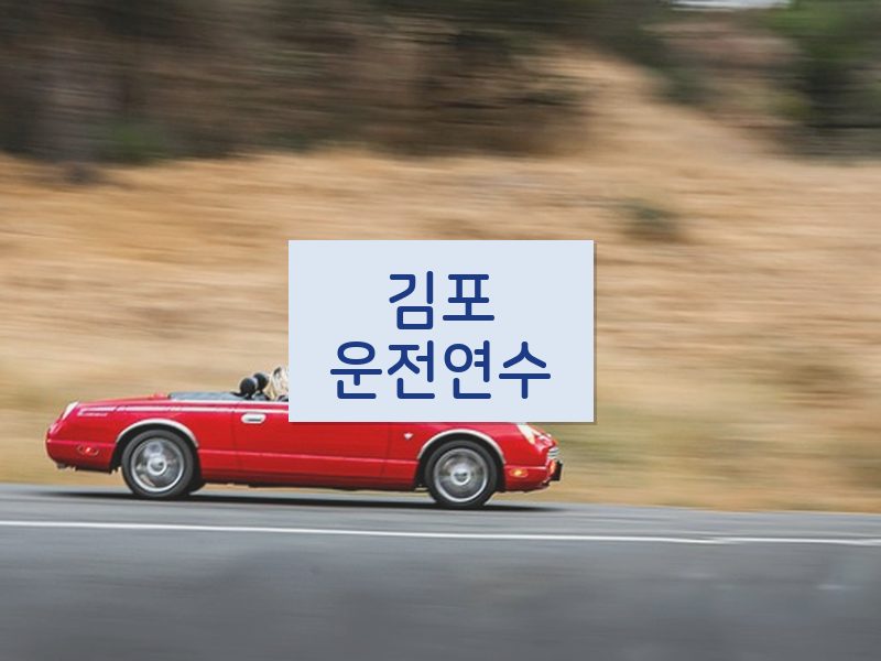 김포운전연수 후기