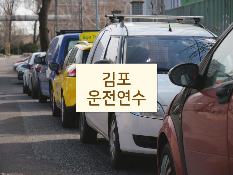 김포운전연수 후기