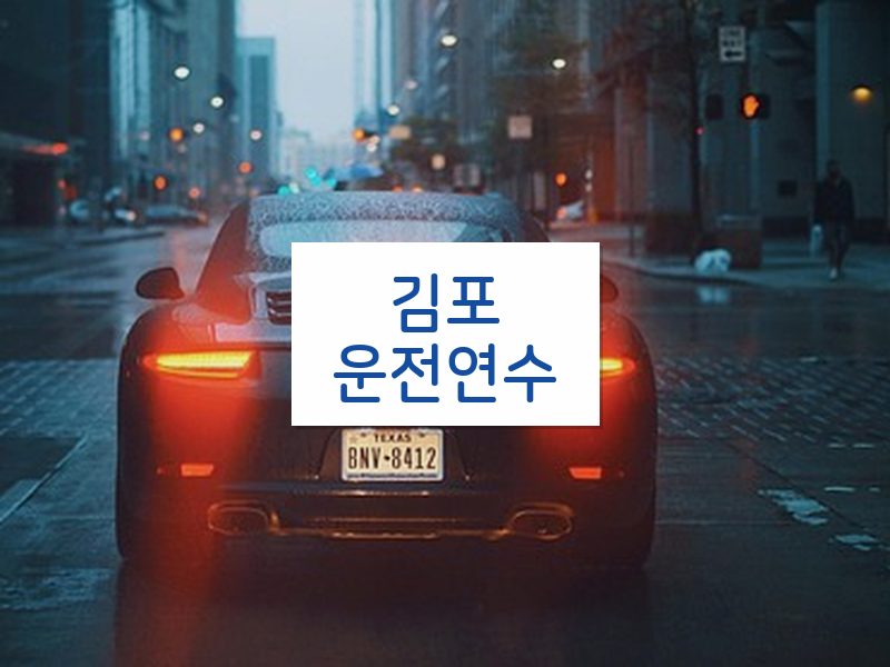 김포운전연수 후기