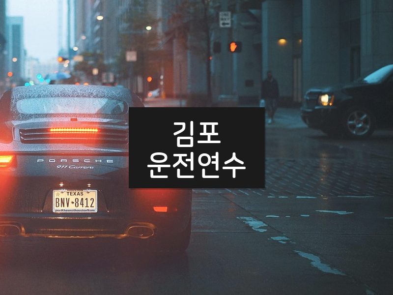김포운전연수 후기