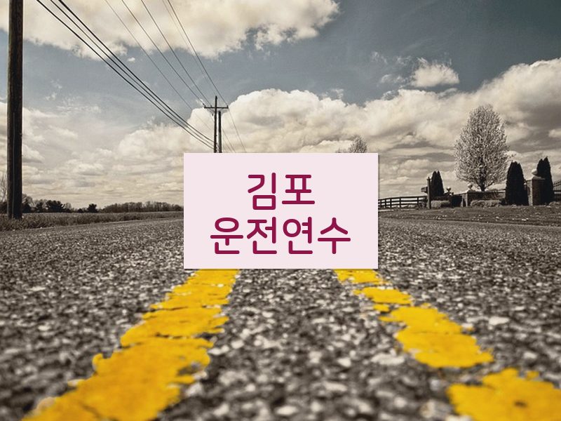 김포운전연수 후기