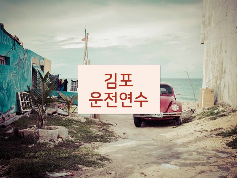 김포운전연수 후기