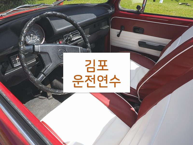 김포운전연수 후기