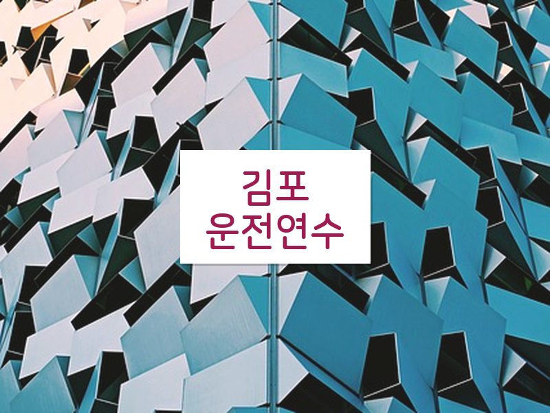 김포운전연수 후기