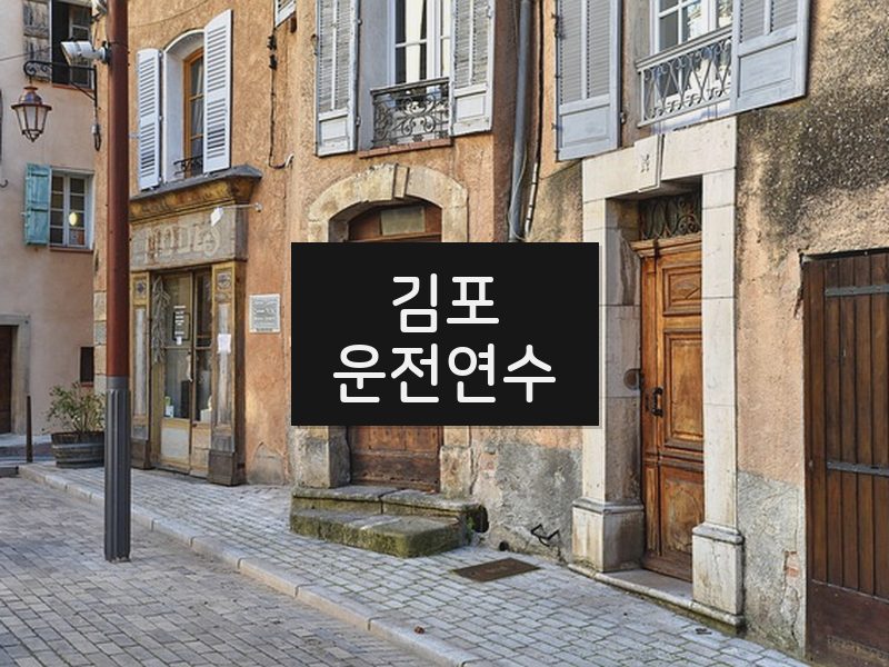 김포운전연수 후기