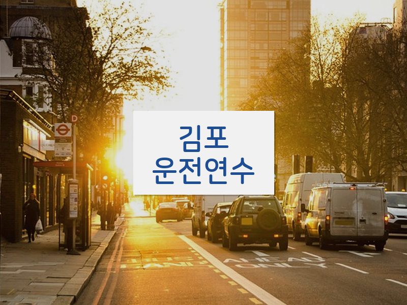 김포운전연수 후기