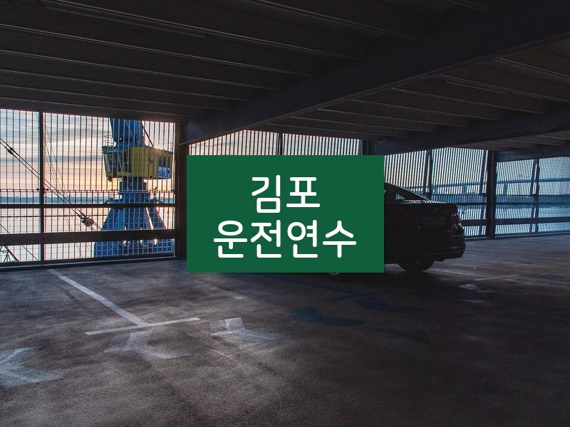 김포운전연수 후기