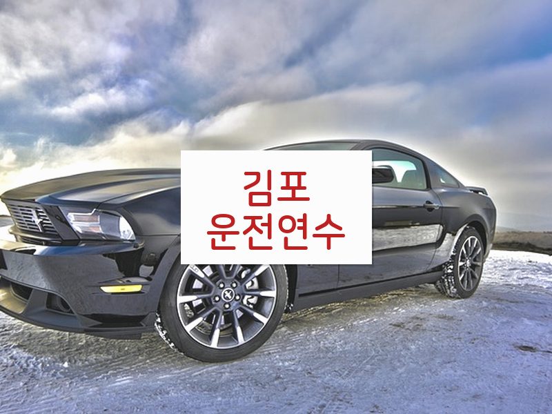 김포운전연수 후기