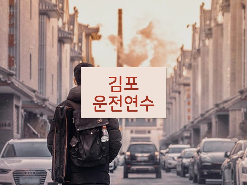 김포운전연수 후기