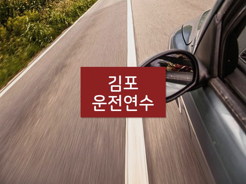 김포운전연수 후기