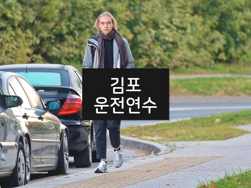 김포운전연수 후기