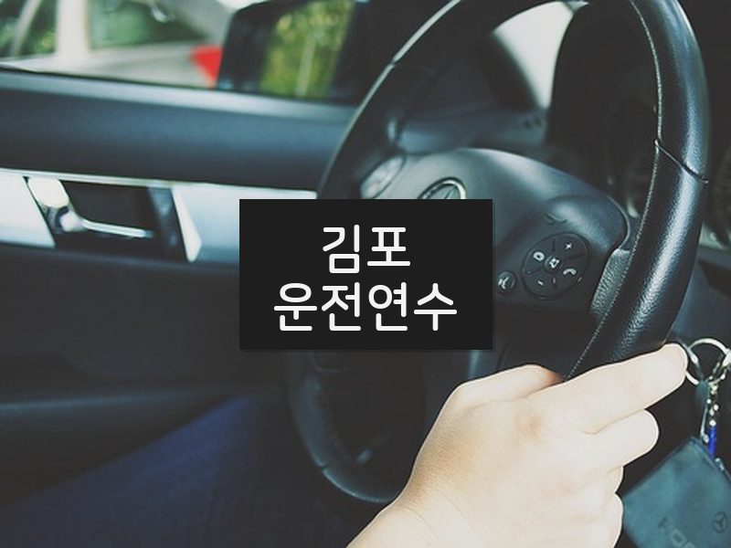 김포운전연수 후기