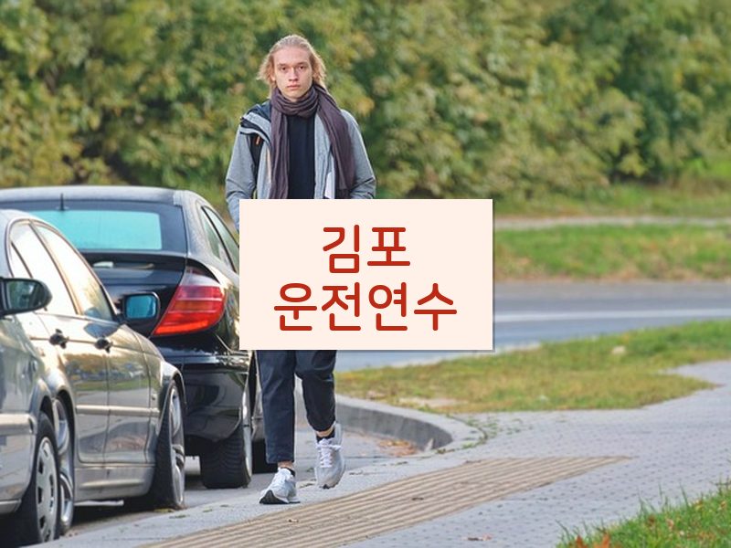 김포운전연수 후기