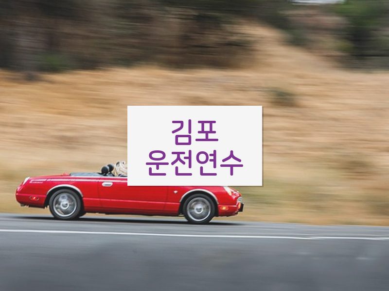 김포운전연수 후기
