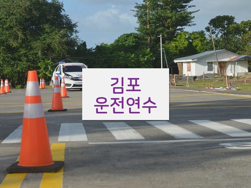 김포운전연수 후기