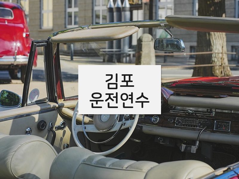 김포운전연수 후기