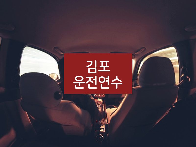 김포운전연수 후기