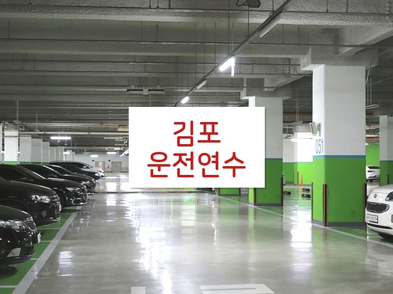 김포운전연수 후기