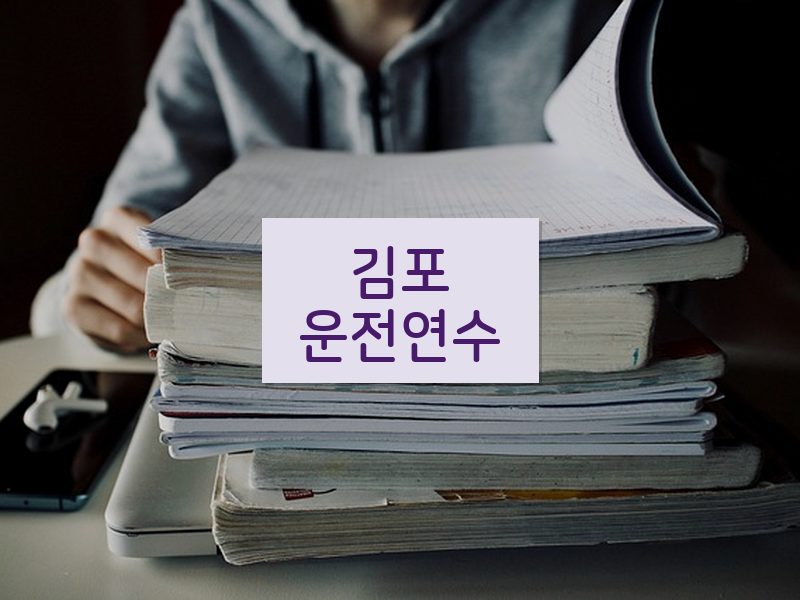 김포운전연수 후기