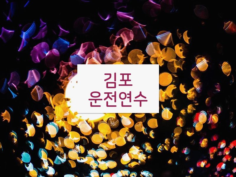 김포운전연수 후기