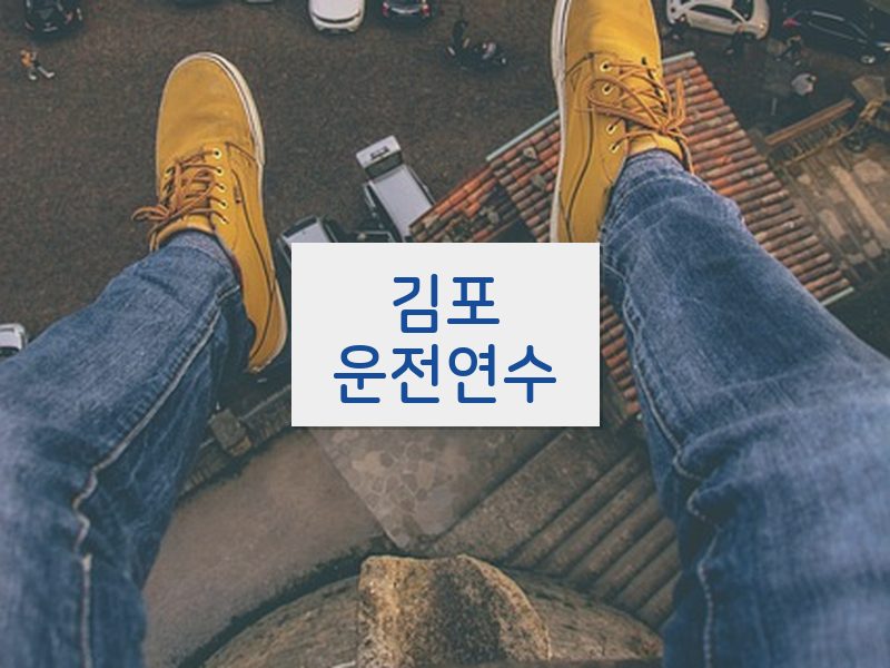 김포운전연수 후기